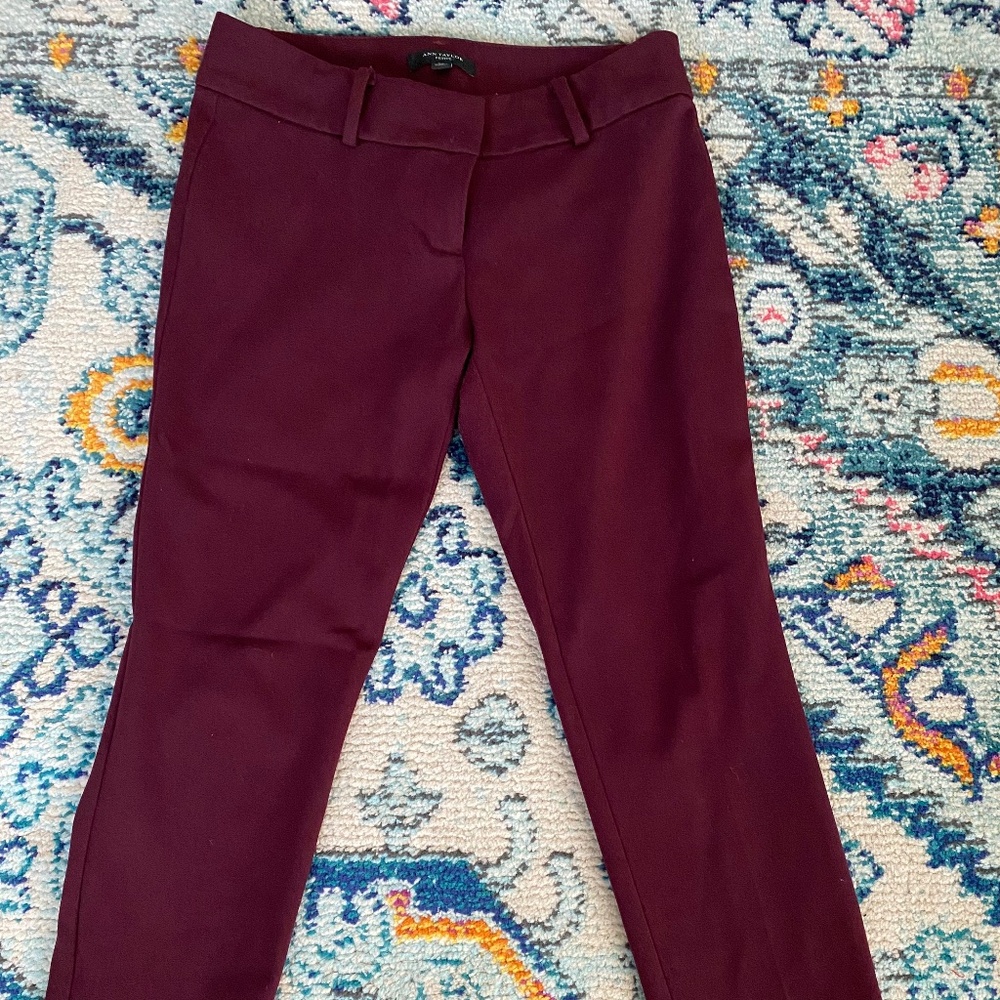 Ann Taylor Skinny Ankle Pants